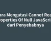 Cara Mengatasi Cannot Read Properties Of Null JavaScript dari Penyebabnya
