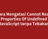 Cara Mengatasi Cannot Read Properties Of Undefined JavaScript tanpa Tebakan