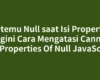 Ketemu Null saat Isi Properti? Begini Cara Mengatasi Cannot Set Properties Of Null JavaScript
